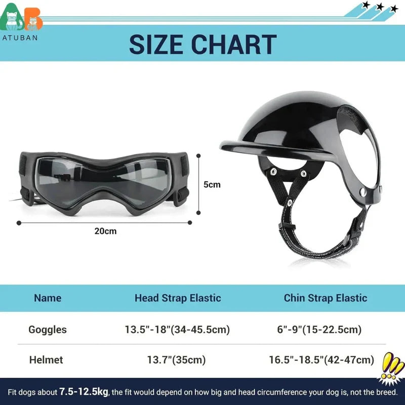 Stylischer Hundehelm mit Brille