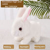 PetPlay Interactive Bunny - Bewegung & Sound für endlosen Spaß-1