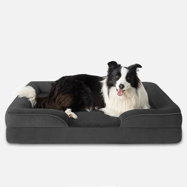 Ortholuxe Hundebett
