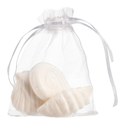 Deko-Objekt-Set Muschel
