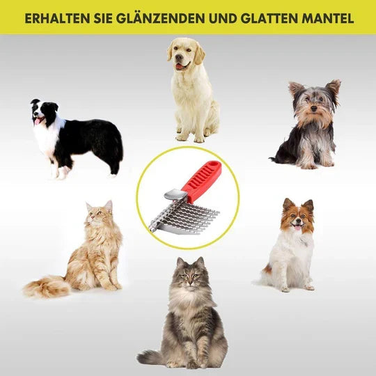 Professioneller Entfilzungskamm Für Haustiere