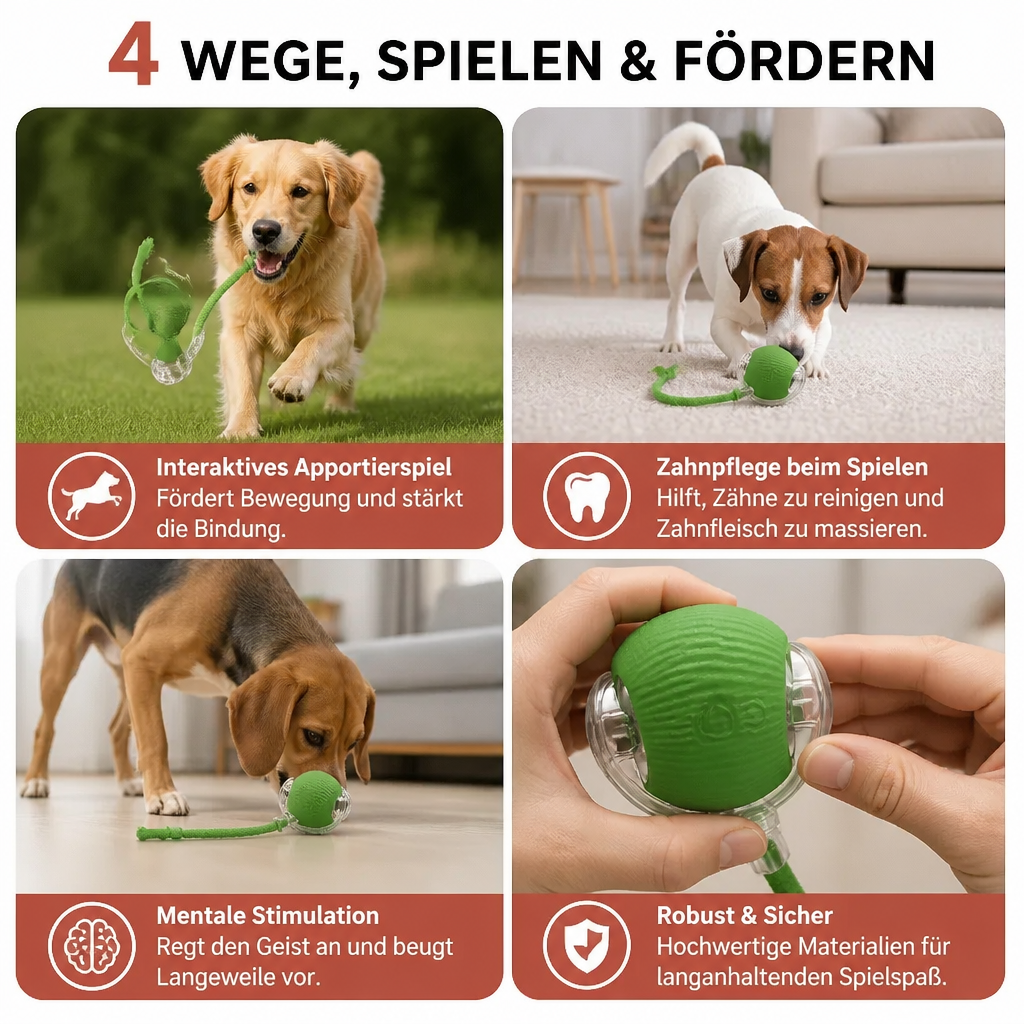 Interaktiver Spielball mit Schwanz für Hunde