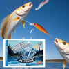 FISHMAS – 24 Tage Weihnachts 2025 Abzählung Angel-Ausrüstung Satz
