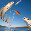 FISHMAS – 24 Tage Weihnachts 2025 Abzählung Angel-Ausrüstung Satz