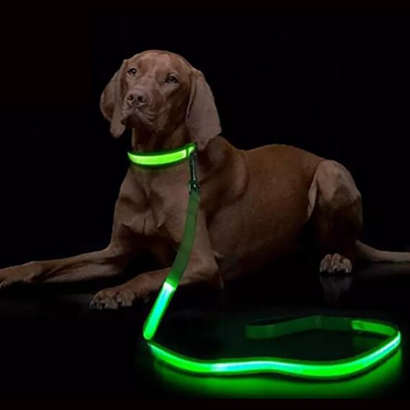 BARKBRIGHT – Wiederaufladbare LED-Leine mit komfortablem ergonomischem Griff 3