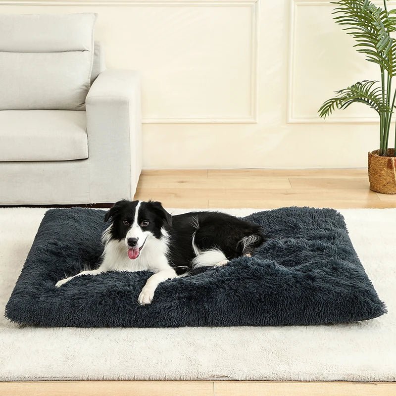 COZYPET – Plüsch-Hundebett & Katzenmatte für ultimativen Komfort 3