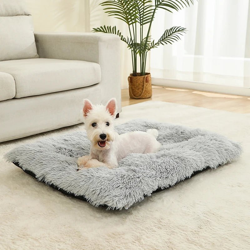 COZYPET – Plüsch-Hundebett & Katzenmatte für ultimativen Komfort 5