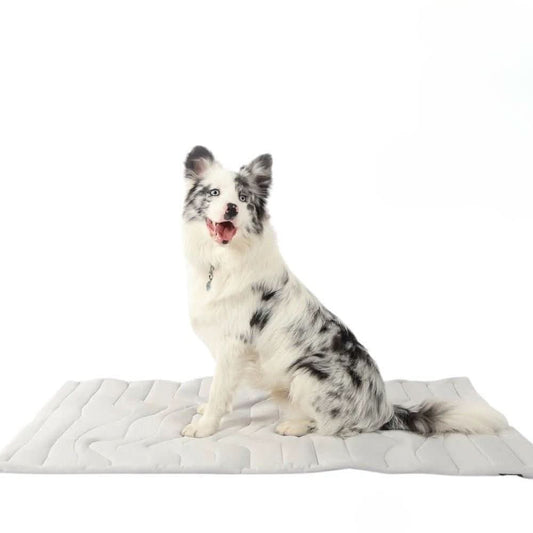 Kühlpfoten Kühl Matte – Selbstkühlende Hundematte Für Heiße Sommertage & Entspannte Vierbeiner