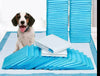 Stubenreinheitstraining Pads
