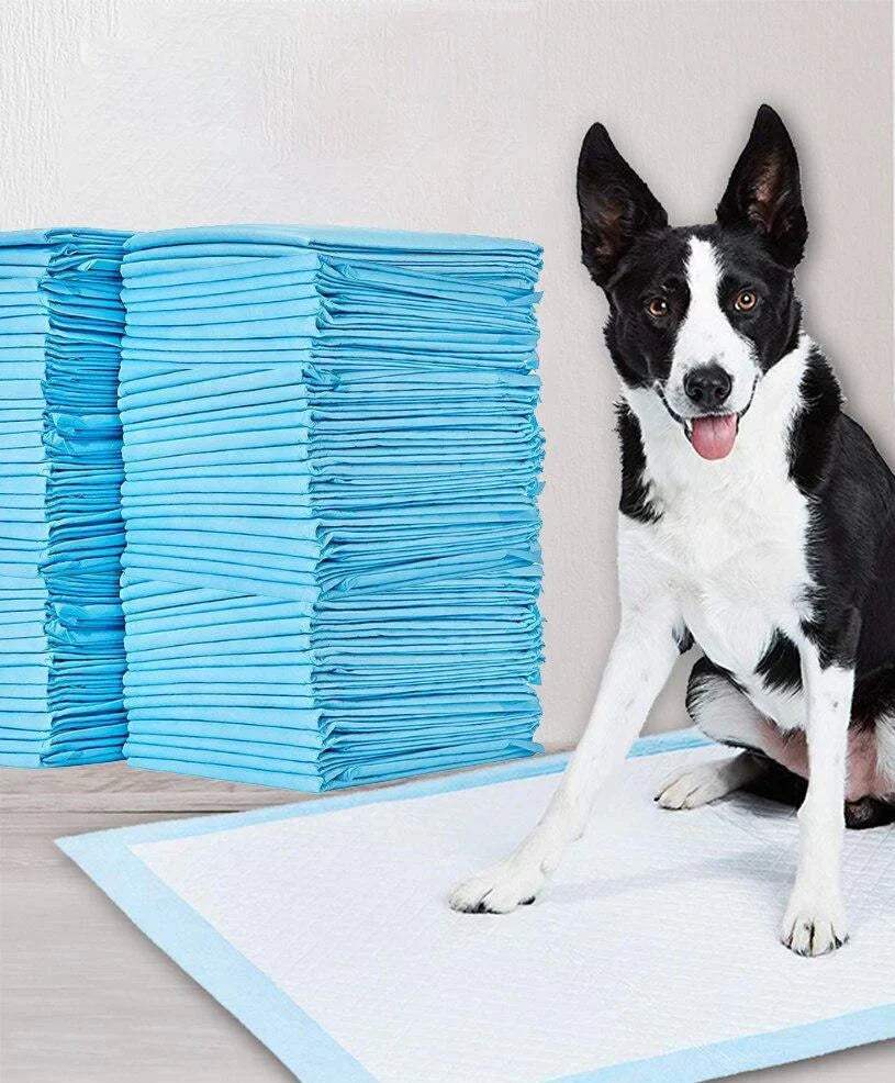 Stubenreinheitstraining Pads