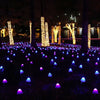 Lumina Pilz – Solarbetriebene LED-Pilzlichter Für Eine Magische Gartenatmosphäre
