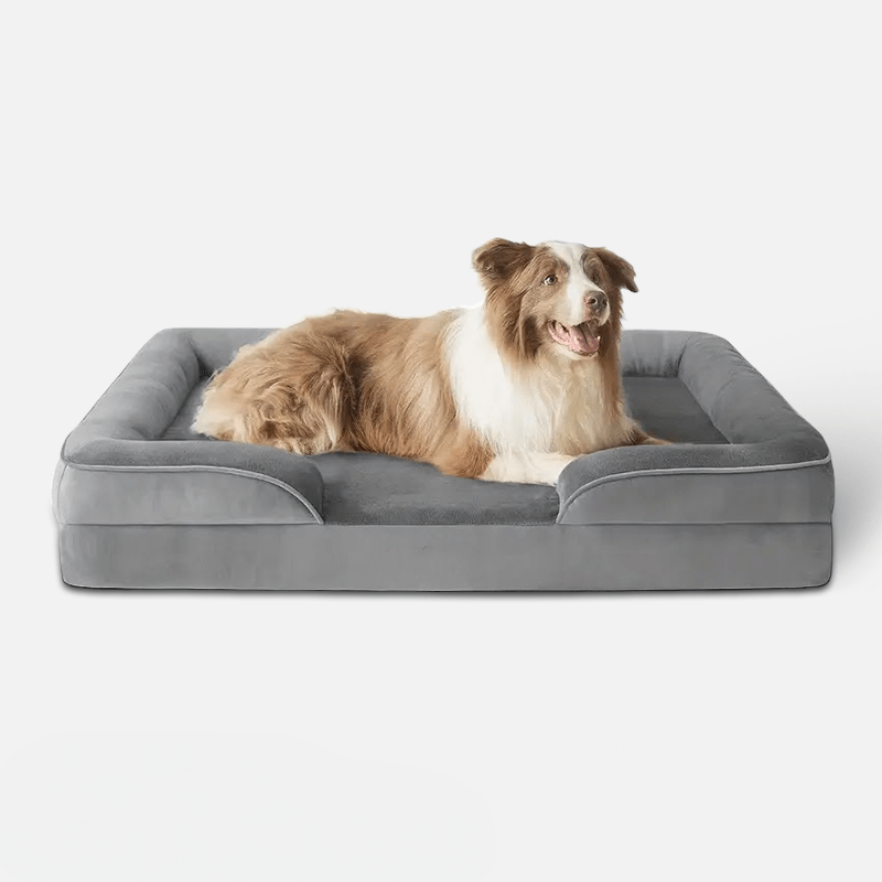 Ortholuxe Hundebett