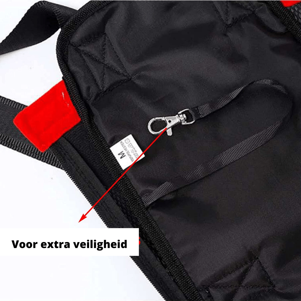 Tierkomfort – Ergonomischer Haustier-Rucksack Für Sichere & Bequeme Ausflüge