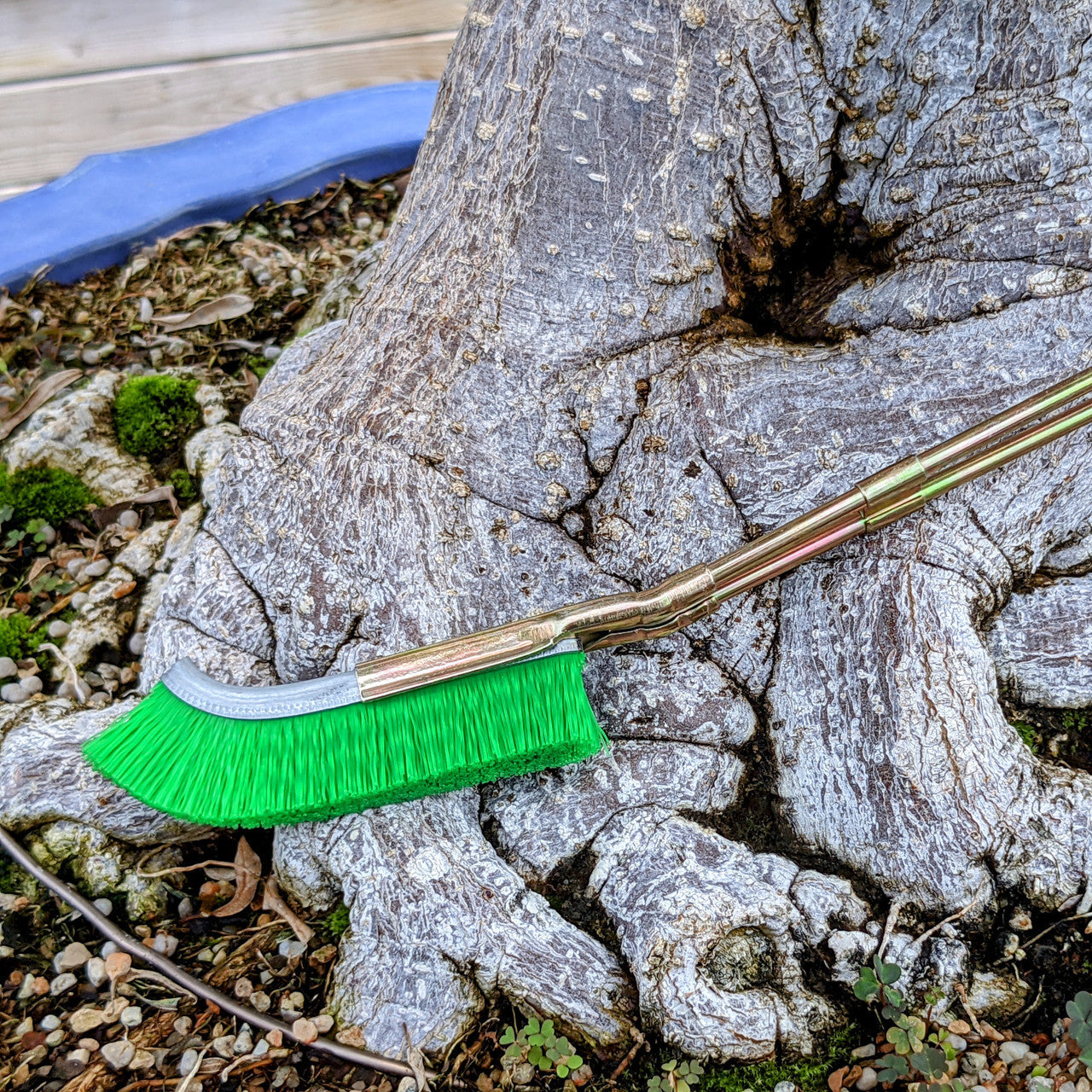 Nylonbürste für Bonsai-Stammbereich Reinigung – Gartenpflege Werkzeug
