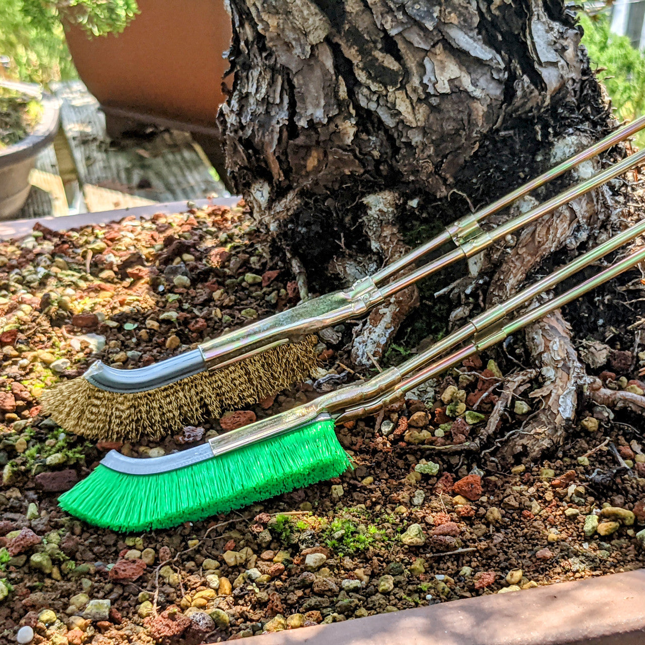 Nylonbürste für Bonsai-Stammbereich Reinigung – Gartenpflege Werkzeug