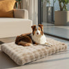 PETSERE – Beruhigendes Bett Für Hunde & Katzen