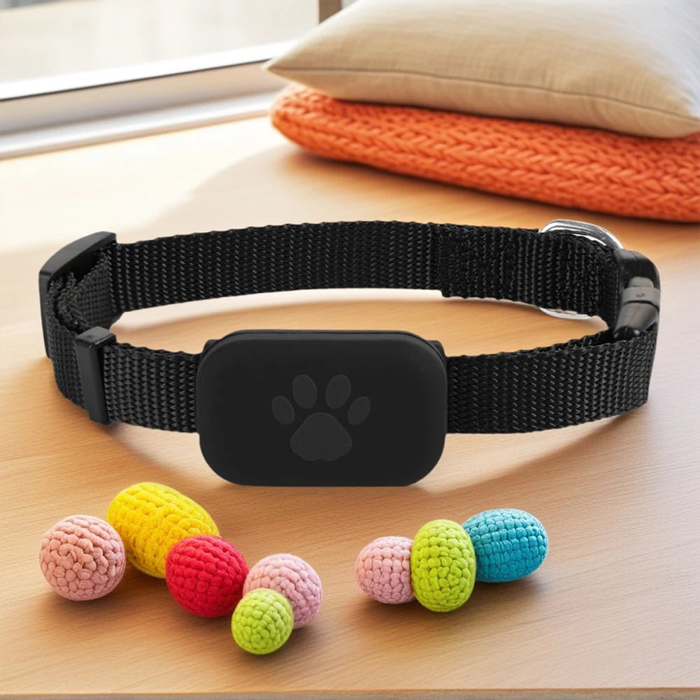 SNOUTRACK – Intelligenter GPS-Haustier-Tracker mit verstellbarem Halsband für Hunde und Katzen 3