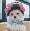Lustige Haustier Kostüme – Bunte Haaraccessoires für Hunde und Katzen