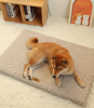 Orthopädisches Hundebett – Weiche  Flauschige Haustiermatte für Hunde  Katzen