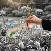 Libellen Klammern - Realistische Insektenabwehr für Haus und Garten (4 Stück)