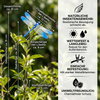 Libellen Klammern - Realistische Insektenabwehr für Haus und Garten (4 Stück)