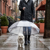 Transparenter Hunde Regenschirm mit Leine für kleine Hunde