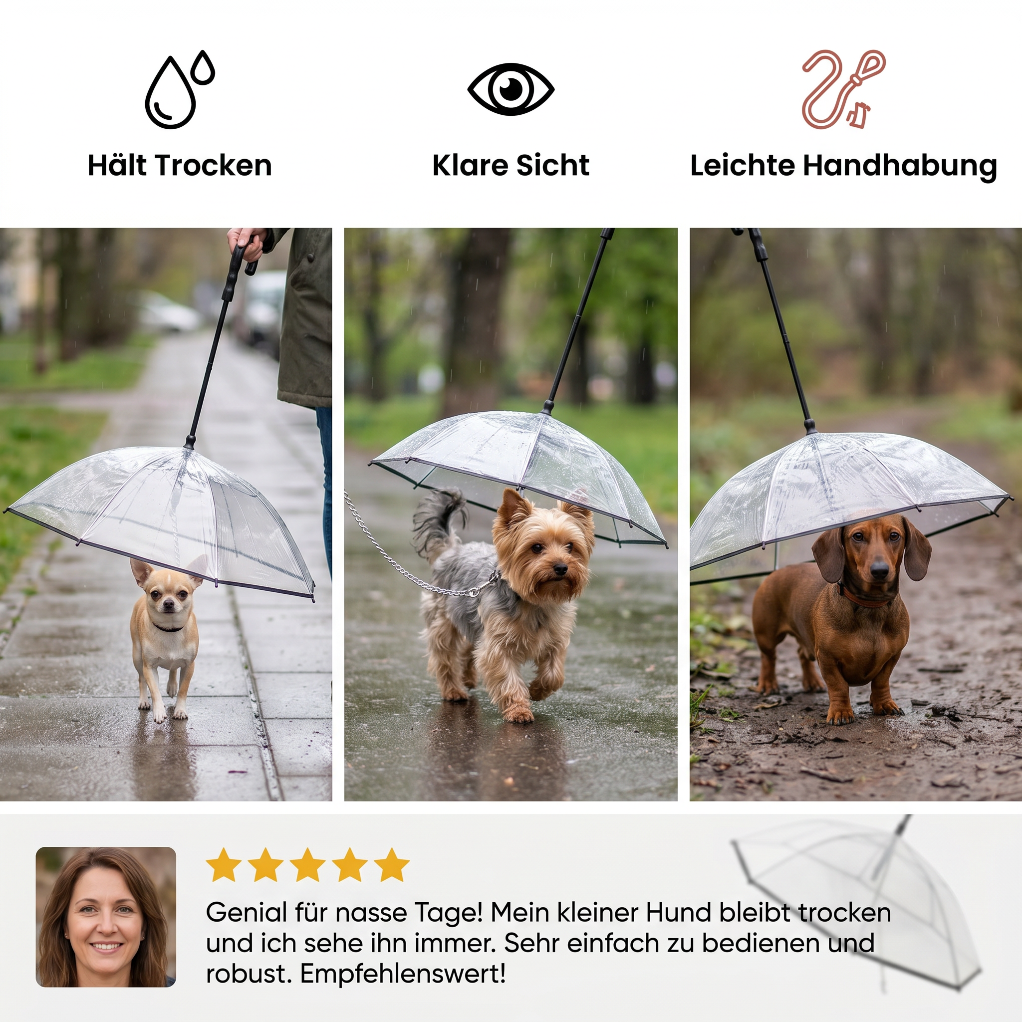 Transparenter Hunde Regenschirm mit Leine für kleine Hunde