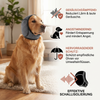 Schutz-Ohrenschützer für Hunde – geräuschdämpfend und angstmindernd