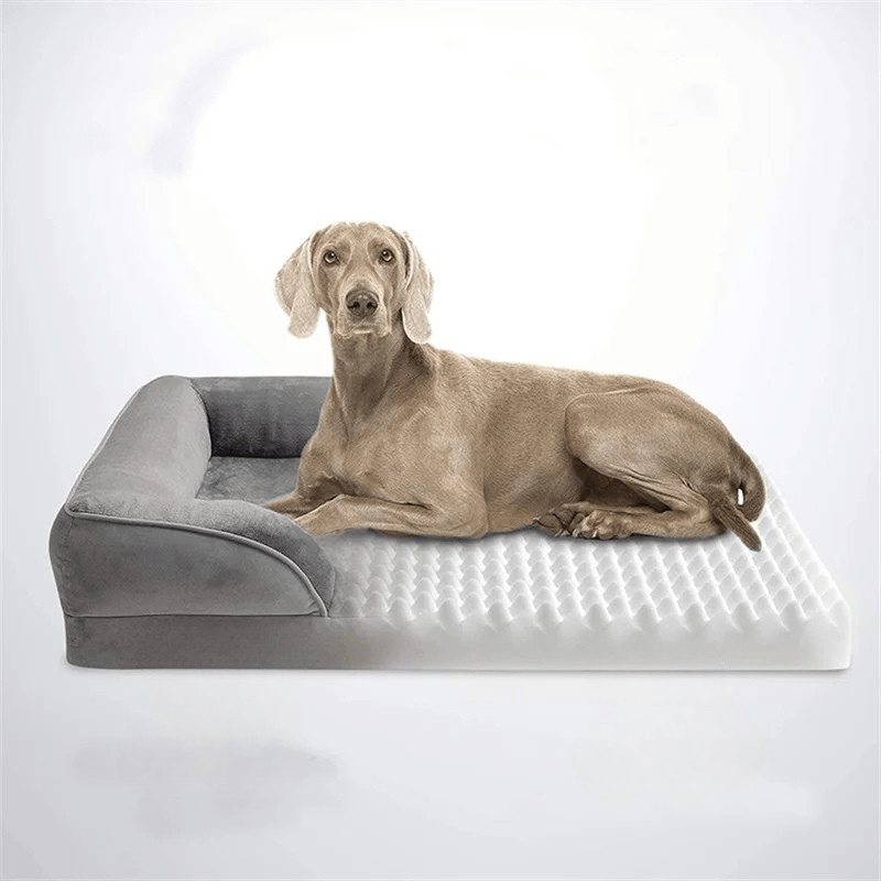 BequemPfote Orthobett – Orthopädisches Hundebett Für Gesunden, Gelenkschonenden Schlaf