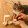 Pfotenpflege Creme für Katzen