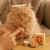 Pfotenpflege Creme für Katzen