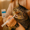 Zahnpflege Stift für Katzen