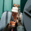 Doppelwandige Glasflasche Mit Teesieb Und Infuser
