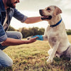 Bandagenschuh für Hunde zum Schutz vor Hitze Kälte und Dreck