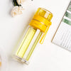 Doppelwandige Glasflasche Mit Teesieb Und Infuser