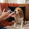 Tablettengeber für Haustiere – Einfacher Medikamenten-Spender für Hunde & Katzen