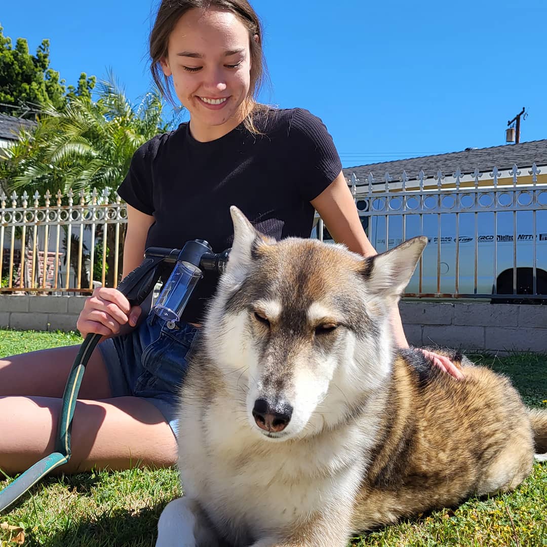 Hunde Shampoo Sprühkopf Aufsatz