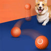 Interaktiver Springball für Hunde