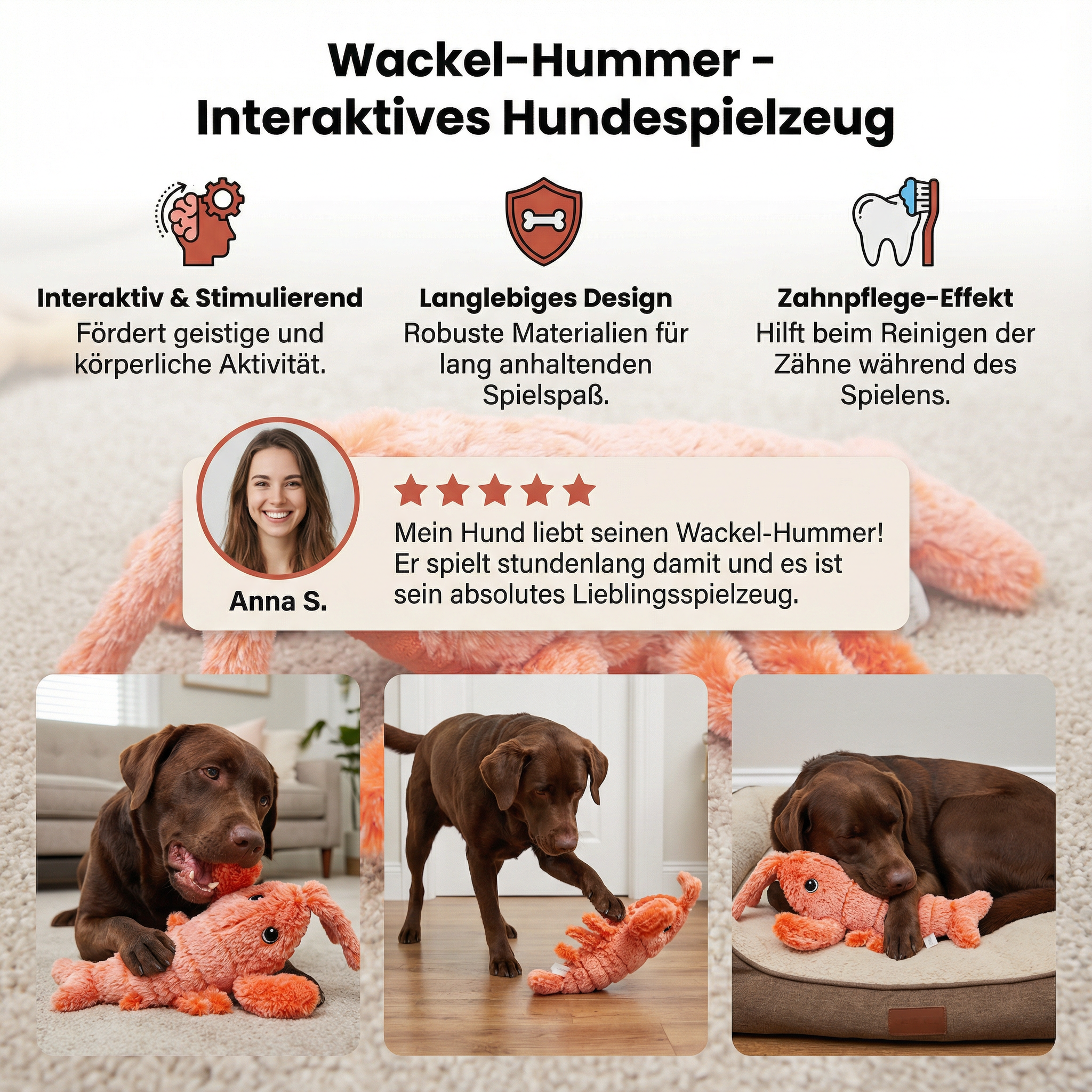 Wackel-Hummer - Interaktives Hundespielzeug