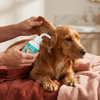 Natürliches Ohren Reinigungsmittel für Hunde